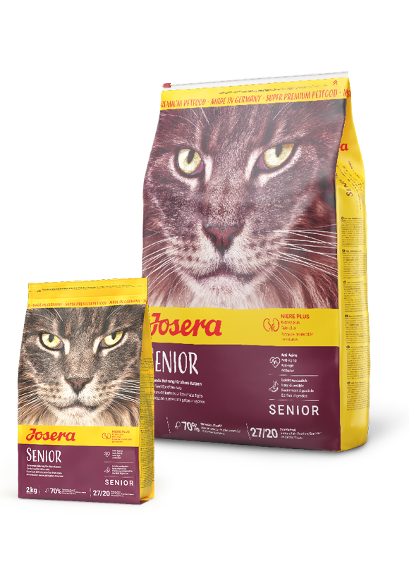 josera cat senior sucha karma dla kota