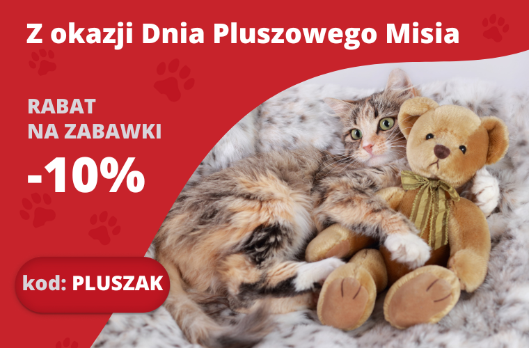 10% rabatu na zabawki z okazji Dnia Pluszowego Misia