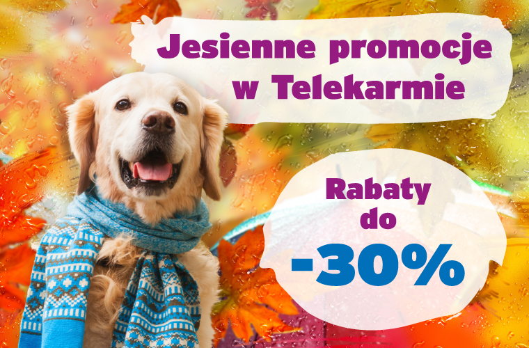  Październikowe promocje w Telekarmie