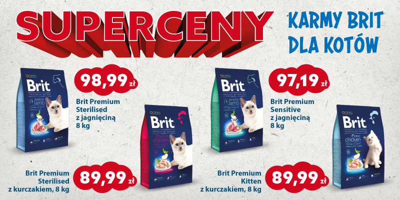 pazdziernik 2024 brit dla kota promocje