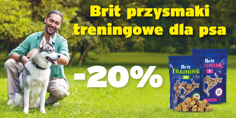 brit training pazdziernik 2024 -20%