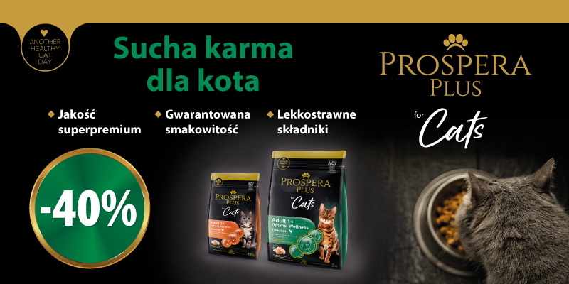 prospera dla kota -40%