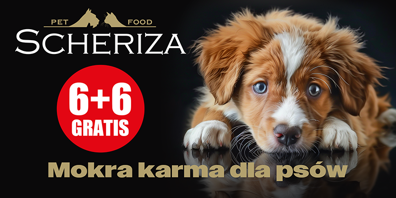 scheriza 6+6 gratis