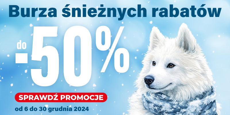 grudniowe promocje 2024 baner glowny